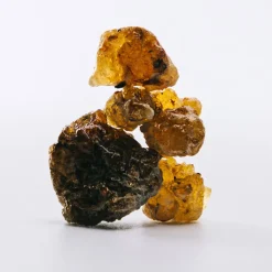 Hombre LOEWE 7 COBALT