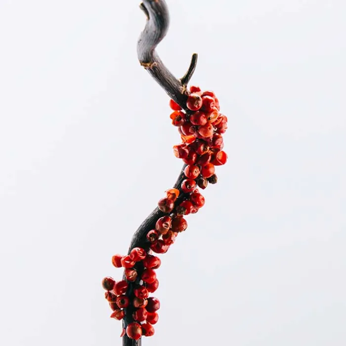 Hombre LOEWE 7 Cofre