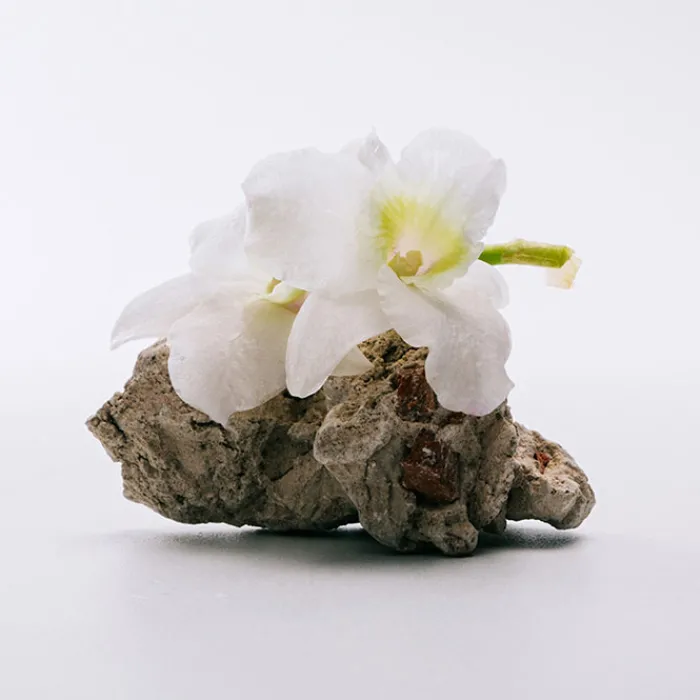 Mujer LOEWE A MI AIRE