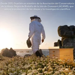 GUERLAIN Abeille Royale Crema de Día Honey Treatment Estuche