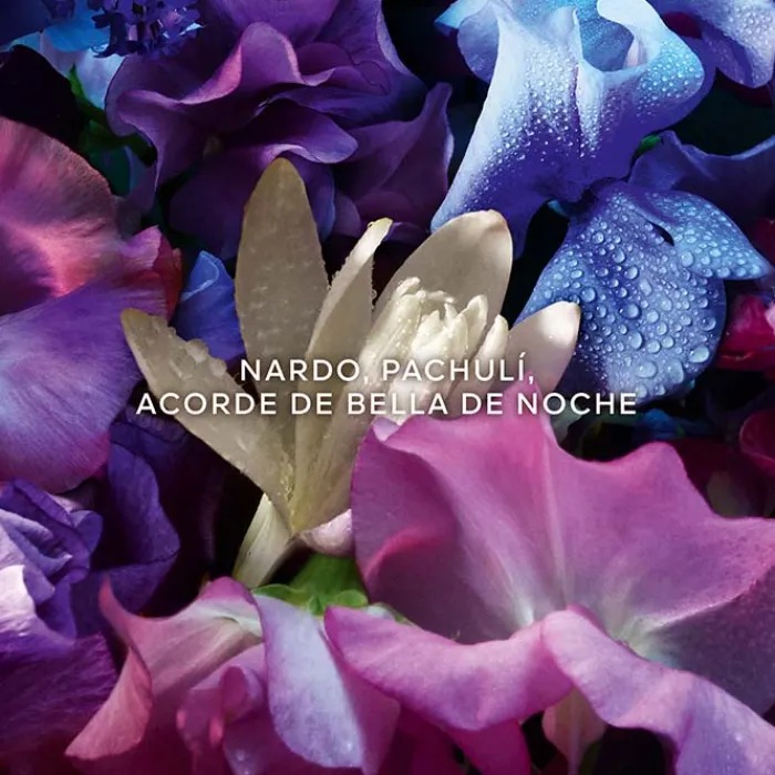 Mujer GUERLAIN Absolus Allegoria Florabloom