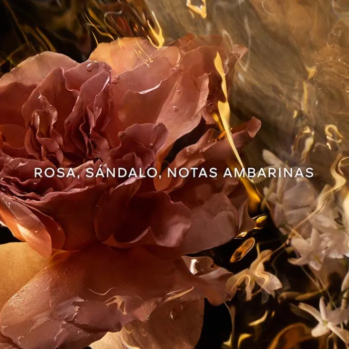 Mujer GUERLAIN Absolus Allegoria Santal Royal