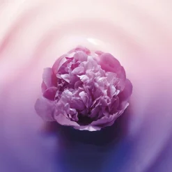 L'Oréal Age Perfect Golden Age Crema Noche Re-Estimulante