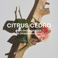 Hombre ADOLFO DOMÍNGUEZ Agua Fresca Citrus Cedro