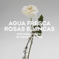 Mujer ADOLFO DOMÍNGUEZ Agua Fresca de Rosas Blancas