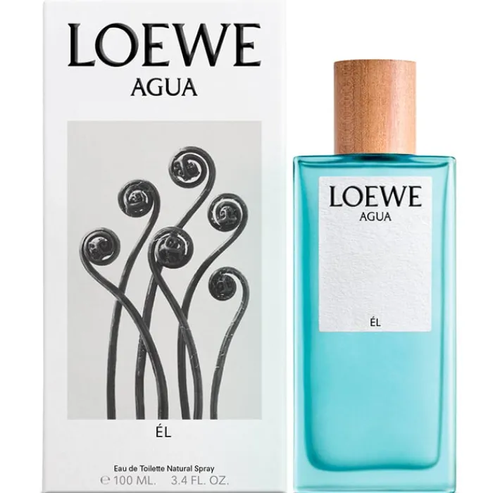 Hombre LOEWE AGUA ÉL