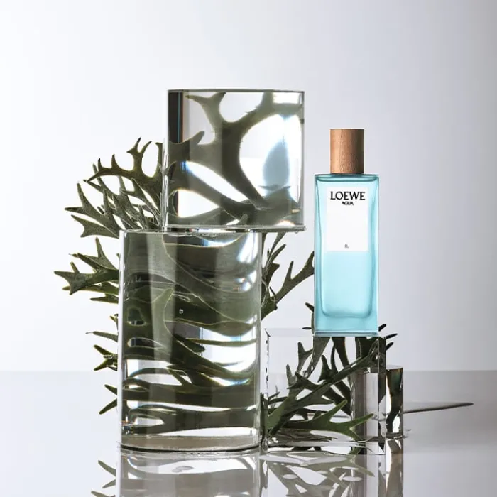 Hombre LOEWE AGUA ÉL