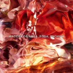 Mujer GUERLAIN Aqua Allegoria Forte Rosa Palissandro