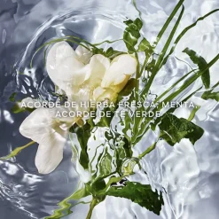 Mujer GUERLAIN Aqua Allegoria Herba Fresca