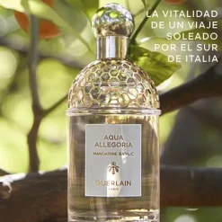 Mujer GUERLAIN Aqua Allegoria Mandarine Basilic
