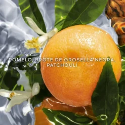 Mujer GUERLAIN Aqua Allegoria Pamplelune