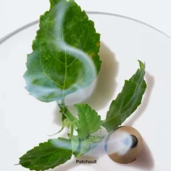 Mujer CLINIQUE Aromatics Elixir