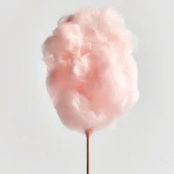 Mujer LOEWE AURA WHITE MAGNOLIA