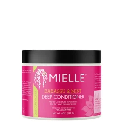 Mielle Babassu Oil & Mint Deep Conditioner