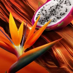 Mujer ESCADA BALI PARADISE 