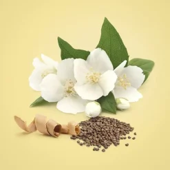 Mujer CALVIN KLEIN BEAUTY