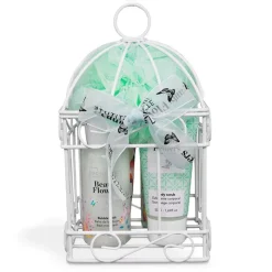 IDC Institute Beauty Flowers Cage Set