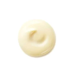 SHISEIDO Benefiance Wrinkle Smoothing Day Cream SPF25