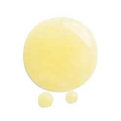 SHISEIDO Benefiance Wrinkle Smoothing Contour Serum