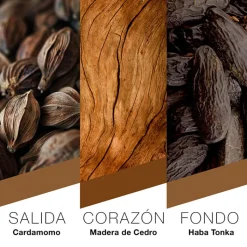 Hombre Prêt à Porter Berlin