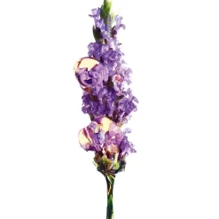 Garnier Bio Crema de Día Anti-Edad