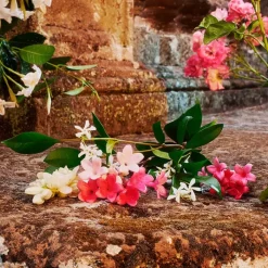 Mujer GUCCI BLOOM EDT