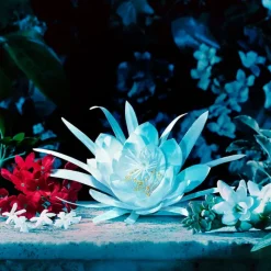 Mujer GUCCI BLOOM INTENSE