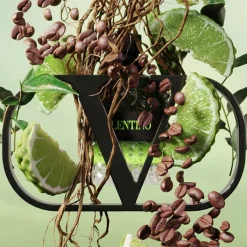 Hombre VALENTINO BORN IN ROMA UOMO GREEN STRAVAGANZA