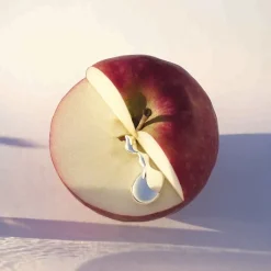 Mujer HUGO BOSS BOSS ALIVE