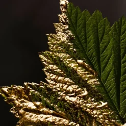 Hombre HUGO BOSS BOSS BOTTLED ABSOLU