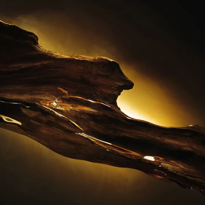 Hombre HUGO BOSS BOSS BOTTLED ELIXIR