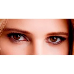 L'Oréal Brow Artist Designer