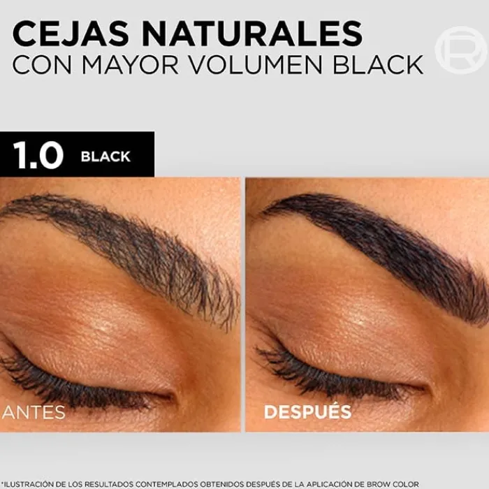 Hombre L'Oréal Brow Color Tinte de Cejas