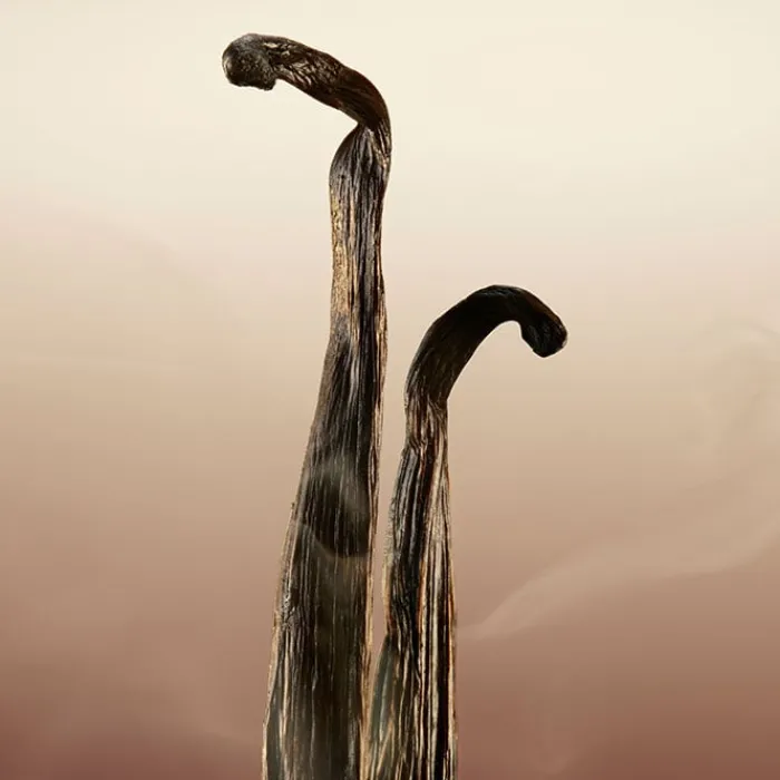 Mujer BURBERRY GODDESS