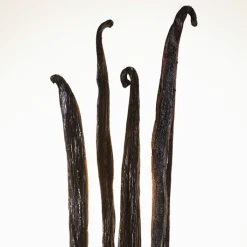 Mujer BURBERRY GODDESS INTENSE