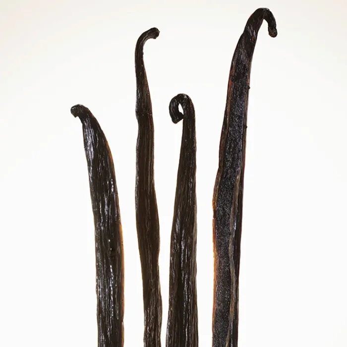 Mujer BURBERRY GODDESS INTENSE