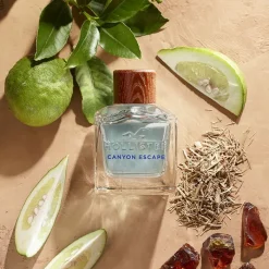 Hombre Hollister Canyon Escape Him