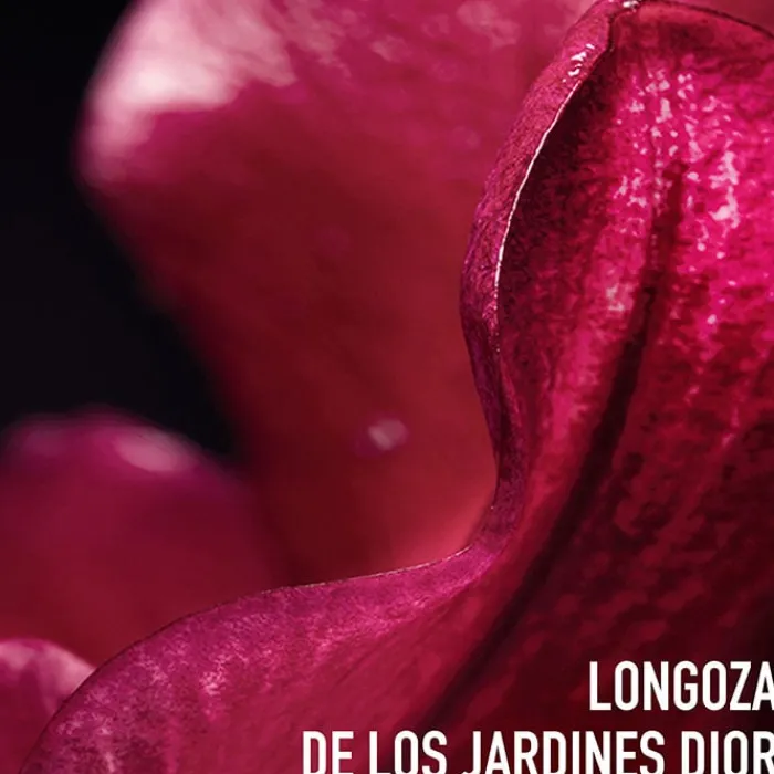 Dior CAPTURE TOTALE C.E.L.L ENERGY Contorno de Ojos