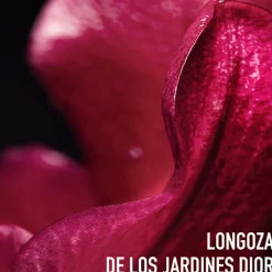 Dior CAPTURE TOTALE C.E.L.L ENERGY Rich Creme