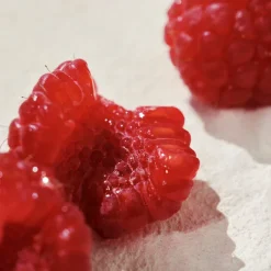 Mujer CHLOÉ INTENSE