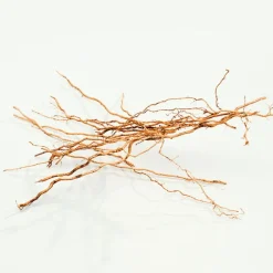 Mujer CALVIN KLEIN CK EVERYONE EDP