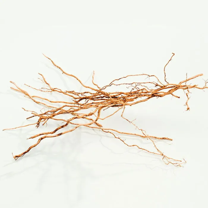 Mujer CALVIN KLEIN CK EVERYONE EDP