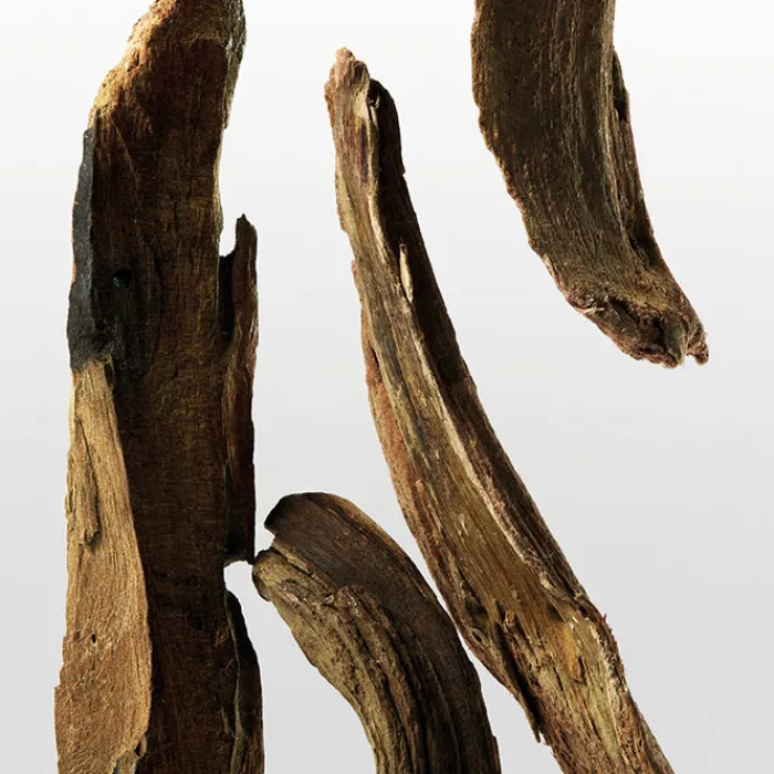 Mujer CALVIN KLEIN CK ONE ESSENCE