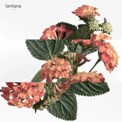 Mujer HERMÈS Eau de Rhubarbe Écarlate