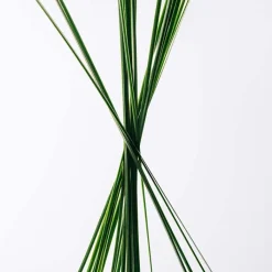 Hombre LOEWE ESENCIA Cofre