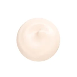 SHISEIDO Essential Energy Hydrating Day Cream SPF20