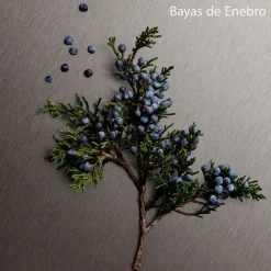 Hombre CALVIN KLEIN ETERNITY AROMATIC ESSENCE For Men