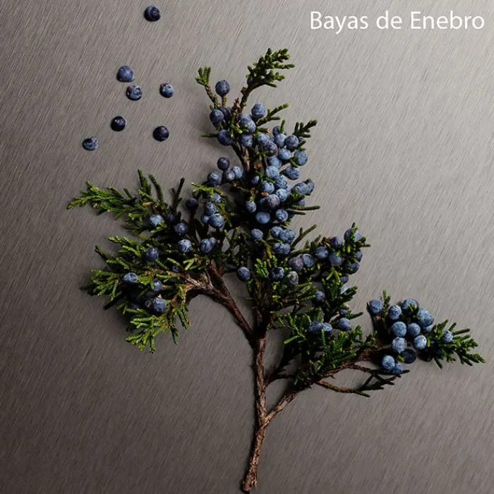 Hombre CALVIN KLEIN ETERNITY AROMATIC ESSENCE For Men