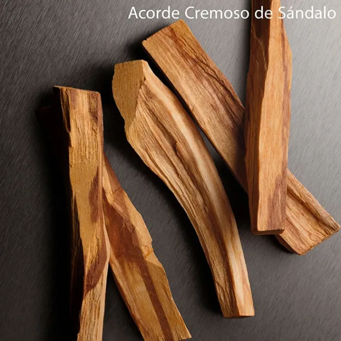 Mujer CALVIN KLEIN ETERNITY AROMATIC ESSENCE