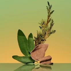 Hombre CALVIN KLEIN ETERNITY For Men EDP